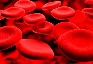 formação células vermelhas