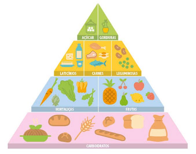 a pirâmide alimentar