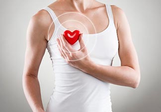 sistema cardiovascular protegido